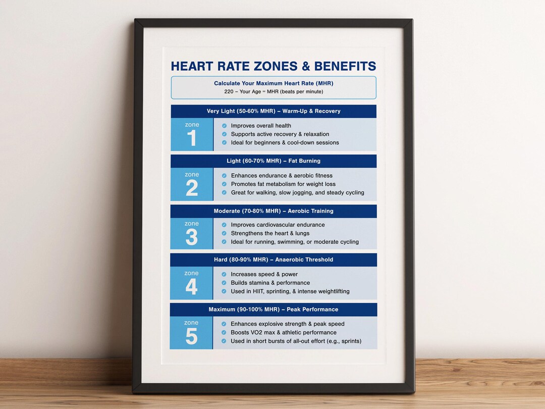 Heart Rate Zones Training Guide, Gym Decor (digital Download) - Etsy