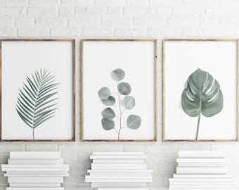 Botanische muurkunst set van 3 prenten, drieluik print, print van eucalyptus monstera palmvaren, tropische muurkunst, groene bladeren, galerij prints-s129