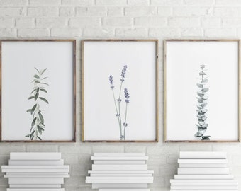 Modern Farmhouse Print Set of 3 , Botanical Wall Art , Minimalist Print , Eucalyptus Lavender Olive Stem Print ,Gallery Wall Art Prints-s130