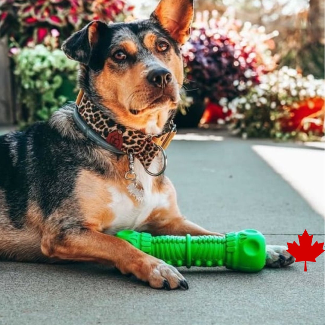 Triangle en caoutchouc et corde pour chien - Bleu ciel – inooko