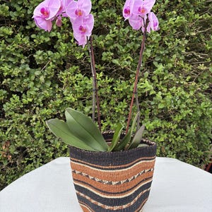 Brown and Tan Sisal Basket, Handwoven Planter and Storage