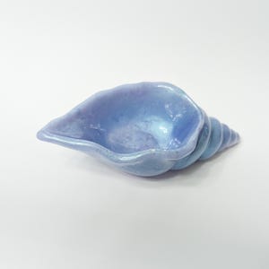 May include: A light blue seashell with a pearlescent finish. The shell is shaped like a small bowl and has a spiral on the side.