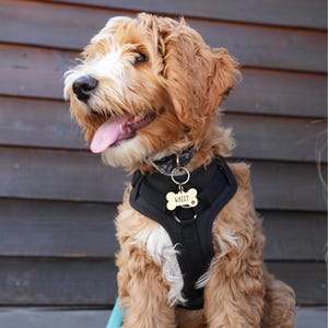 Dog Bone Shaped Engraved Dog Tag • Gold Dog Tag Stainless Steel • Personalized Dog Tag • Custom Dog Tag • Dog Name Tag • Puppy Tag