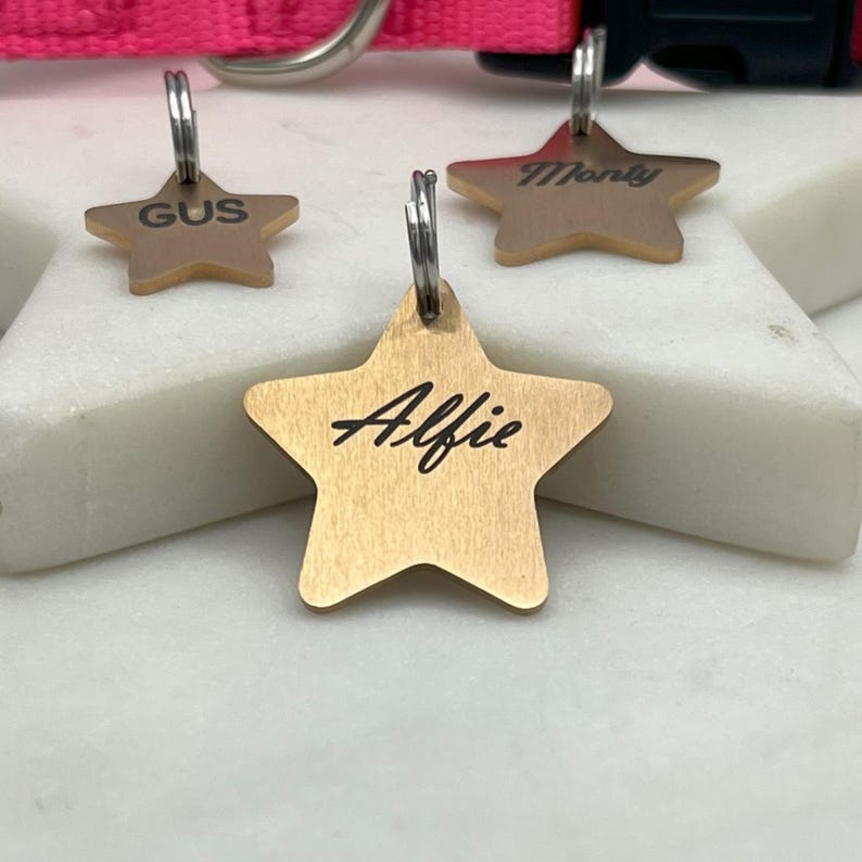 May include: Three gold star-shaped dog tags with engraved names: Gus, Monty, and Alfie. The tags are on a white surface.