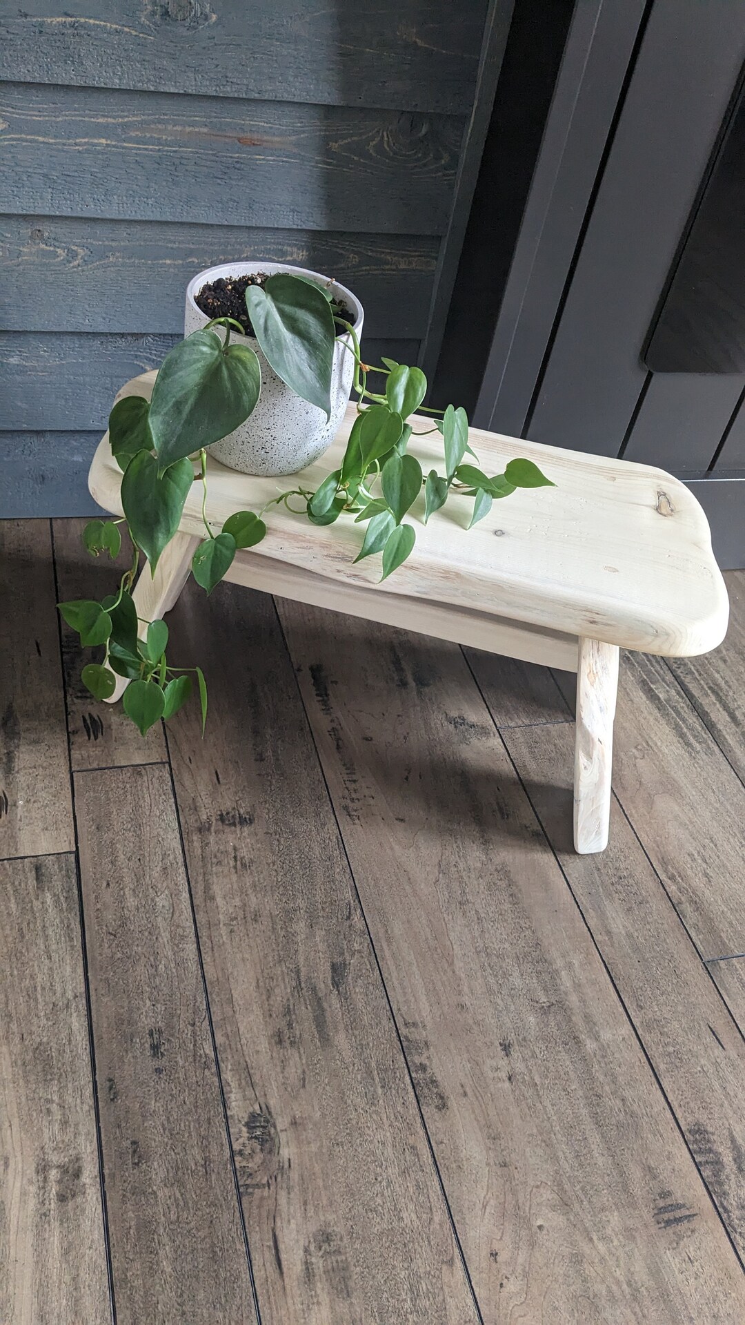 Wooden Stool | Minimal Rustic | Natural Plant Riser Stand - Etsy