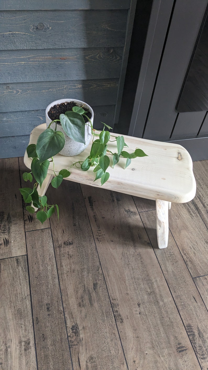 Wooden Stool | Minimal Rustic | Natural Plant Riser Stand - Etsy