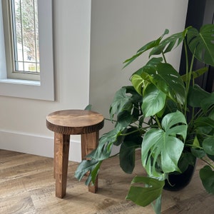 May include: A dark brown wooden stool with three legs. The stool is sitting on a light brown wood floor. A large green leafy plant is in the background.