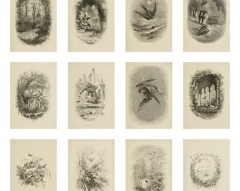 set of 13 vintage cottagecore illustrations, printable wall art, wall decor, vol 1