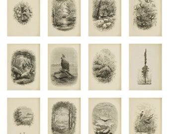 set of 13 vintage cottagecore illustrations, printable wall art, wall decor, wall art, printable art vol 2