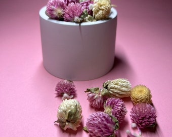Ilvy, Teelichthalter oder Dekoschälchen in verschiedenen Farben