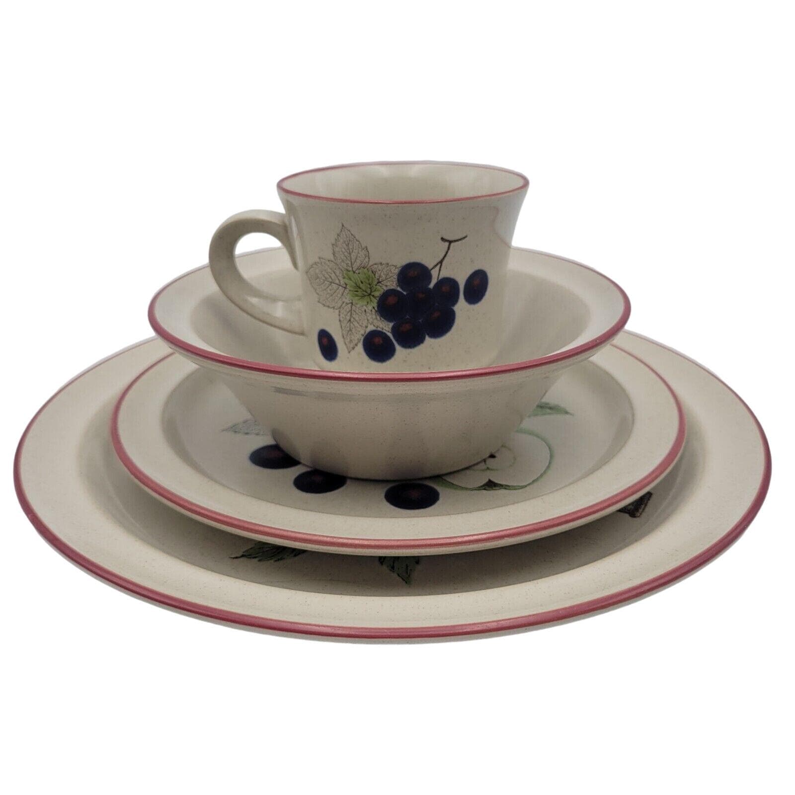 Noritake Primastone 1 Set 4 Pieces Setting Napa Valley #8336 Made