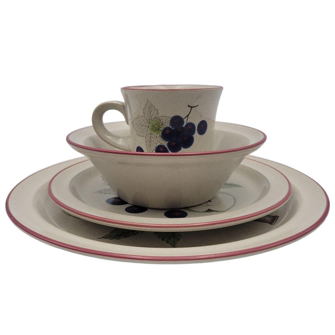 Noritake Primastone 1 Set 4 Pieces Setting Napa Valley #8336 Made
