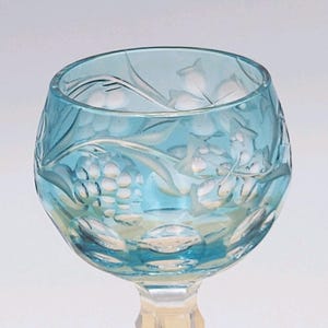 Juego de copas de cristal checo estilo bohemio vintage para licor: Copas de licor Rainbow Grapevine imagen 12