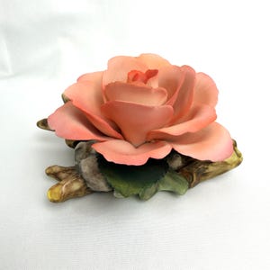 Italy Napoleon Rose - Etsy
