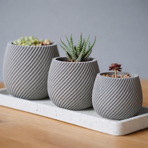 May include: Three gray, textured, spiral-patterned planters of varying sizes, each holding a different succulent plant. The planters sit on a rectangular, speckled white tray, all on a wooden surface.