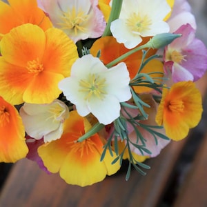 100+ California Poppy Mix Flower Seeds / Poppy Flower Seeds (G74) F