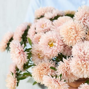 King Size Apricot China Aster Flower Seeds, Light Bouquet Cut, 50 Seeds