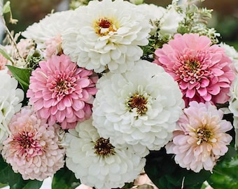 Blushing Bride Zinnia Mix Seeds, Pastel Cottage Garden Cut Flower Bouquet, 25 Seeds