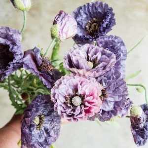 50/100/ Amazing Grey Poppy Flower Seeds / Papaver rhoeas / Delicate Lovely Flower/ Cottage Garden Flower/ (W24) F