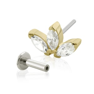 A Solid 14K Gold Lotus Marquise END with Implant Grade Titanium Threadless Back 20g to 14g Threadless Flat Back.