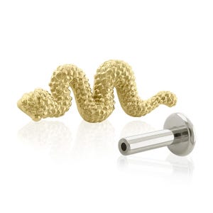 A Solid 14K Gold Snake END with Implant Grade Titanium Threadless Back 20g to 14g Threadless Flat Back.