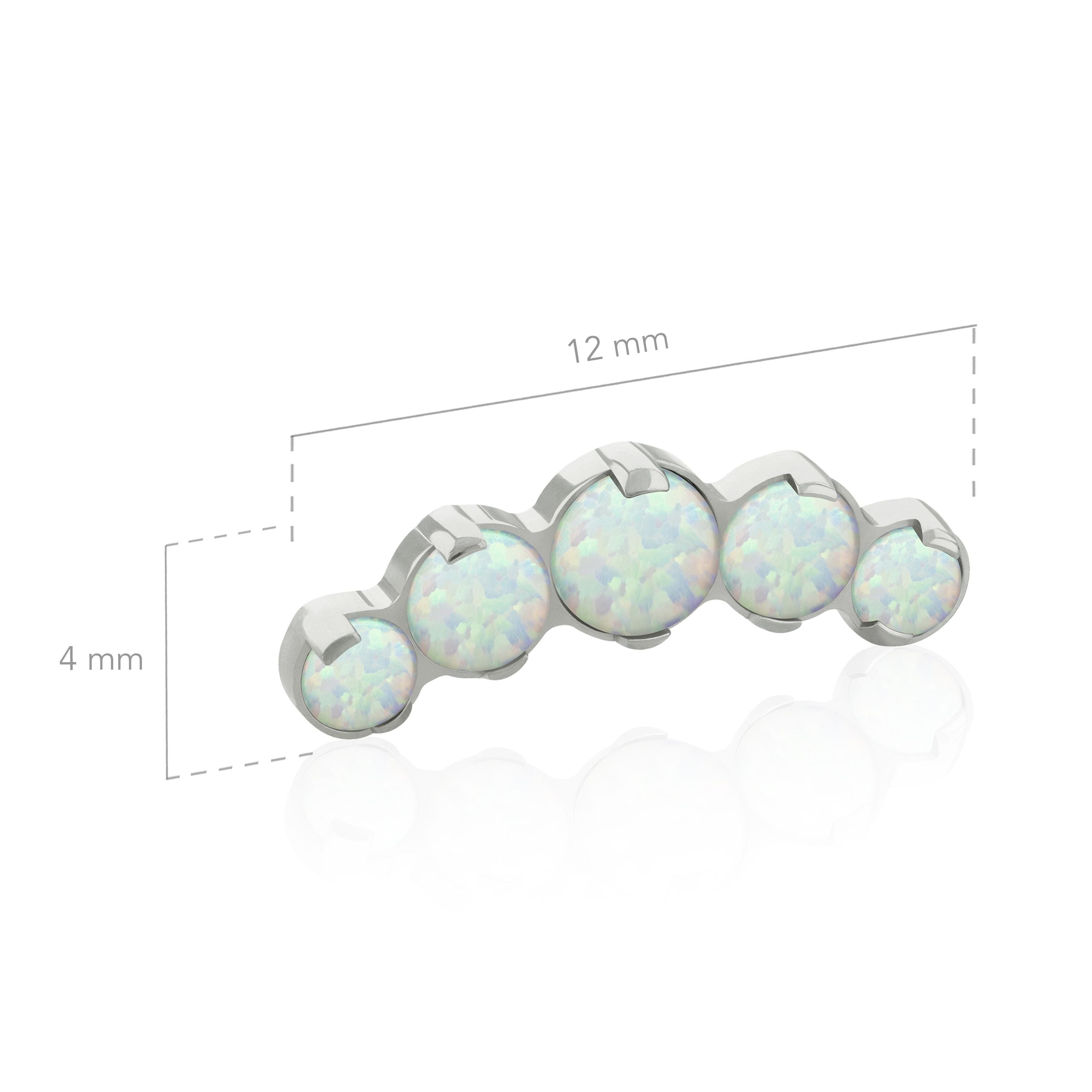 16g -18g Implant Grade Titanium Threaded Ends Five Cluster Prong ...
