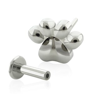 20g to 14g Titanium Push-in Studs, Threadless Dog Paw end with Push-in back labret earring, tragus ring, cartilage piercing, earlobe
