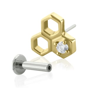 Ein solides 14K Goldwaben-ENDE mit fadenlosem Titan-Rücken 20g bis 14g fadenlosem, flachem Rücken.
