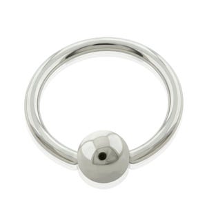 Anneaux captifs : créoles basiques en titane de 16 g, anneaux de septum, cerceau du cartilage, piercings du lobe supérieur, bijoux tragus.