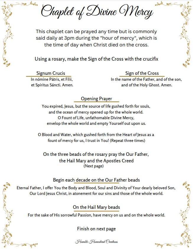 Chaplet of Divine Mercy Prayer Guide Printable PDF Download - Etsy