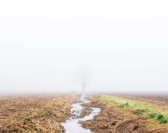 Fog on Dobler Road