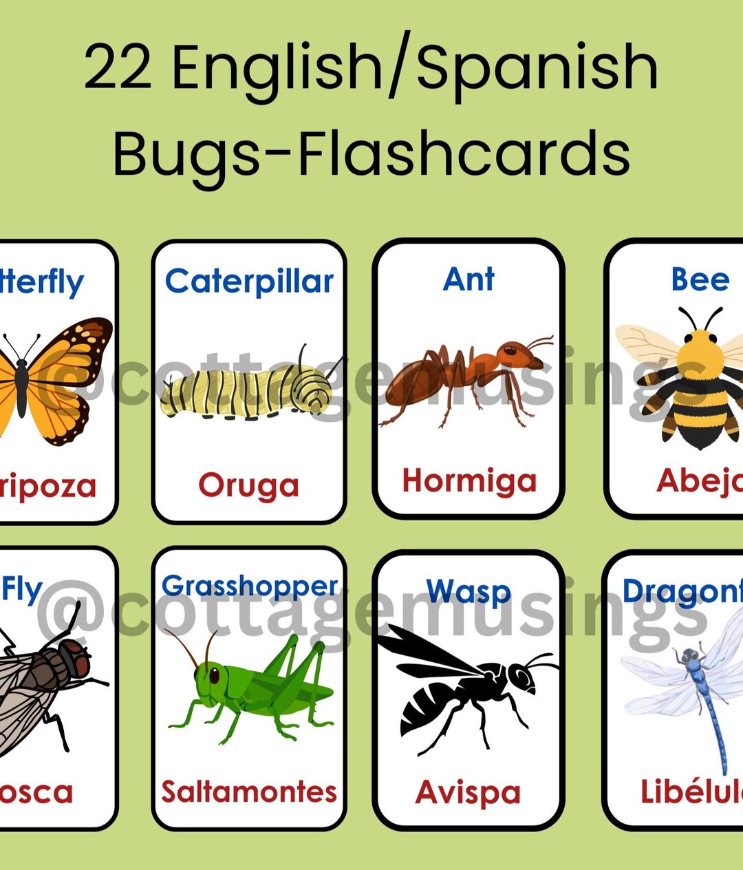 22 Basic Bugs Bilingual English/ Spanish Toddler Flashcards- PDF ...