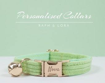May include: A light green cat collar with a gold buckle and bell. The buckle is engraved with the name "Nova".