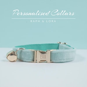 Tiffany blue cat collar clearance