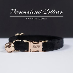 Kitten collar for human cheap