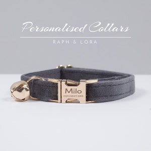Mimco dog collar online