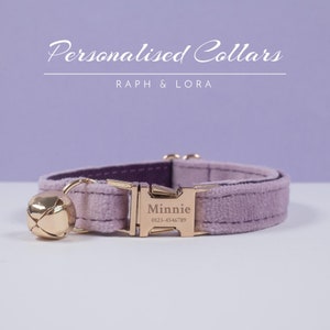 Può includere: Un collare per gatti in velluto viola chiaro con una fibbia e un campanello dorati. La fibbia è incisa con il nome "Minnie" e il numero di telefono "0123-4546789".