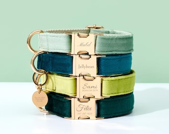May include: A stack of four velvet dog collars in shades of green and blue, each with a gold-colored buckle and a matching gold ring. The buckles are engraved with names: Mabel, Jellybean, Sami, and Felix. A small gold tag reads "The July 2024".