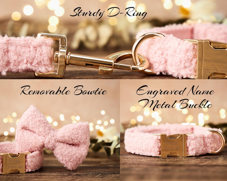 Gepersonaliseerde roze halsband en riem, aangepaste halsband strik voor huisdier verjaardagscadeau, verstelbare luxe aangepaste puppyhalsband afbeelding 4