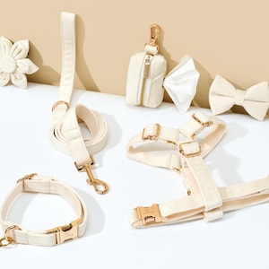 Può includere: Un set di accessori per animali domestici color crema con collare, guinzaglio, imbracatura, papillon, fiore e dispenser per sacchetti per rifiuti. Il set include elementi di fissaggio in metallo color oro. Gli articoli sono disposti su una superficie bianca con sfondo beige.
