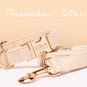 Personalized Pet Collar Leash Set For Cat Owner,Custom Beige Dog Collar For Her,Engraved Puppy Collar Gift For Him,Leather Cat Collar
