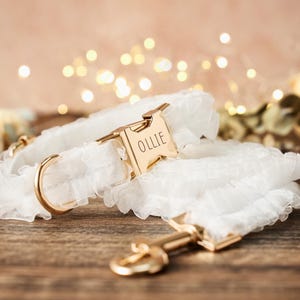 Op de afbeelding: Een witte, gerimpelde hondenhalsband met een goudkleurige gesp met de naam "OLLIE" gegraveerd. Een bijpassende riem met een goudkleurige sluiting is ook aanwezig. De halsband en riem liggen op een houten oppervlak met zachte, vage achtergrondverlichting.