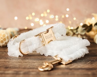 May include: A white, ruffled dog collar with a gold-colored buckle engraved with the name "OLLIE". A matching leash with a gold-colored clasp is also present. The collar and leash are set on a wooden surface with soft, blurred background lights.