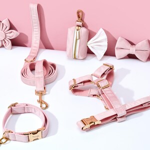 Baby Pink Velvet Personalized Dog Collar Lead Bow, Puppy Collar for Wedding Gift, Luxury Pet Dog Collar for Small Dogs, Soft Cat Collar Gift image 6
