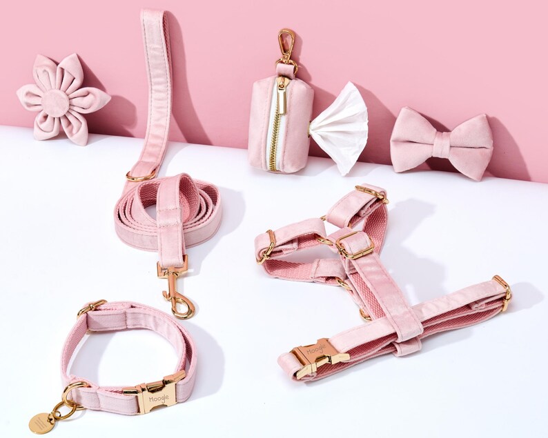 Baby Pink Velvet Personalized Dog Collar Lead Bow, Puppy Collar for Wedding Gift, Luxury Pet Dog Collar for Small Dogs, Soft Cat Collar Gift image 6