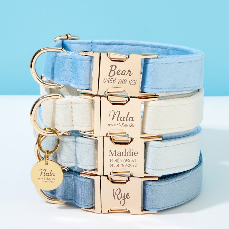 Customized Dog Leash Collar Bowtie Set for Wedding Gifts,fancy Velvet