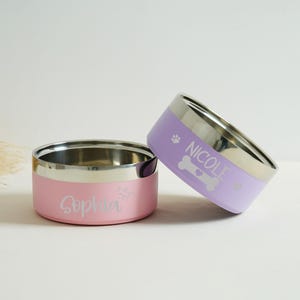May include: Two stainless steel pet bowls, one pink and one lavender, with silver rims. The pink bowl has the name "Sophia" and a crown graphic. The lavender bowl has the name "Nicole" and a bone graphic. Both bowls are for pets.