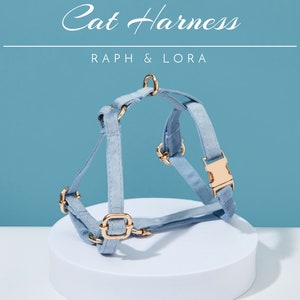 Cat Harness with Breakaway Personalized Cat Collar,Quick Release Cat Collar Set, Soft Corduroy/Velvet Custom Kitten Harness Leash Set