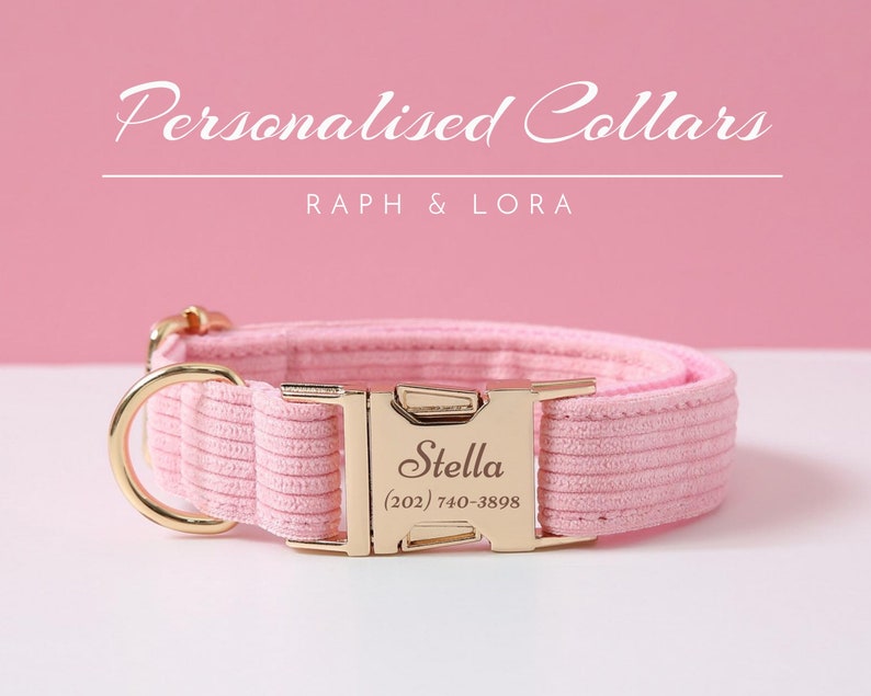 Op de afbeelding: Roze gepersonaliseerde hondenriem met een gouden gesp en de naam "Stella" en telefoonnummer (202) 740-3898 gegraveerd erop.