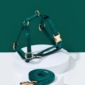 May include: A dark green velvet dog harness and matching leash set. The harness features gold-colored metal hardware, including buckles and rings. The leash is coiled neatly below the harness on a white surface, with a dark green background.